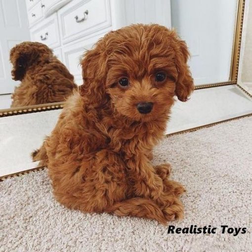 realistic puppy teddy