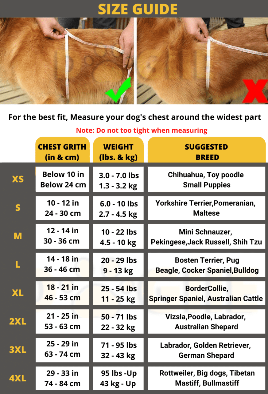 Dogiie size chart 27 may